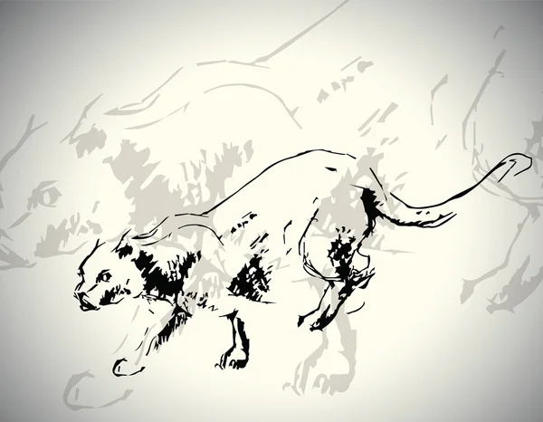 Bir kedinin silüeti