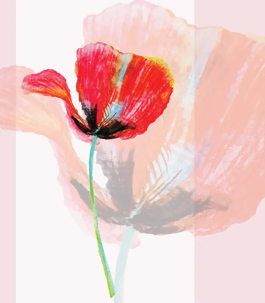 Tulipe sur fond rose — Image vectorielle