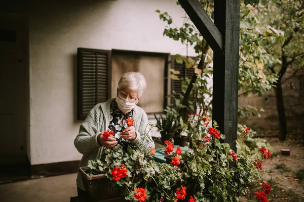 Mulher Caucasiana Sênior Com Óculos Máscara Facial Organiza Plantas Jardim — Fotografia de Stock