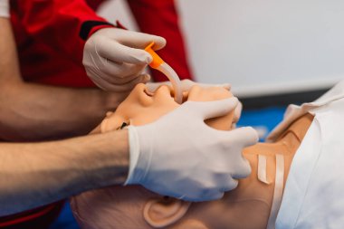 Endotrakeal tüp yutturma. Larengoskop tutarken elinizi kapatın ve manikin ağzına endotrakeal tüp takın. Solunum yetmezliği, koronavirüs, anestezi konsepti.