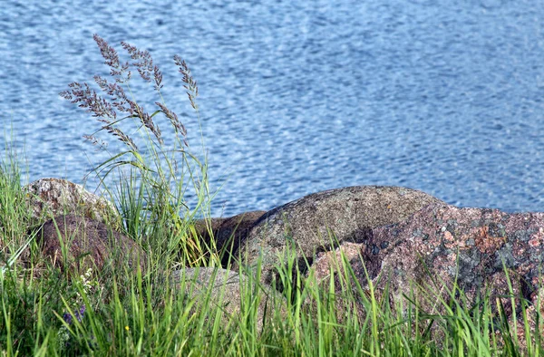 Riga Körfezi. Kayalık sahil yakınındaki Engure. Letonya