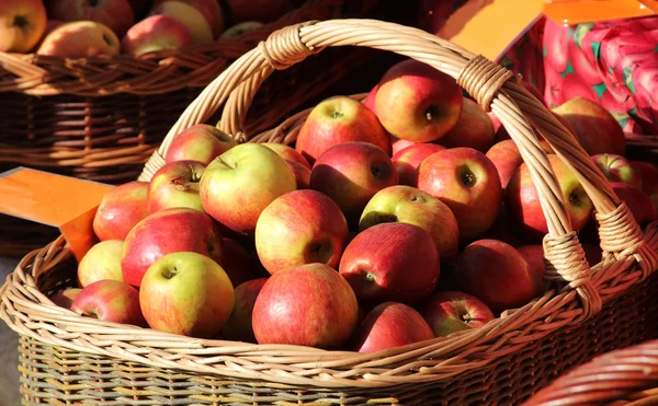 sonbahar elma hasat.