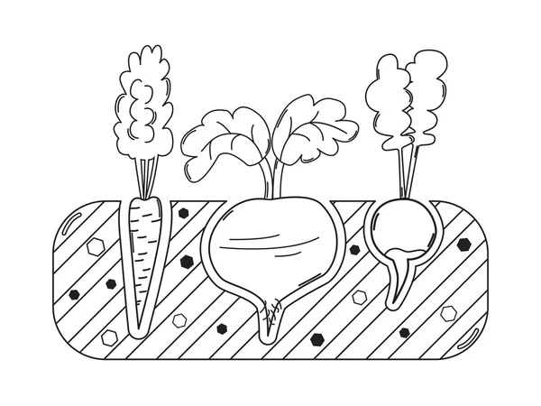 Cama de jardinería delgada con verduras — Vector de stock