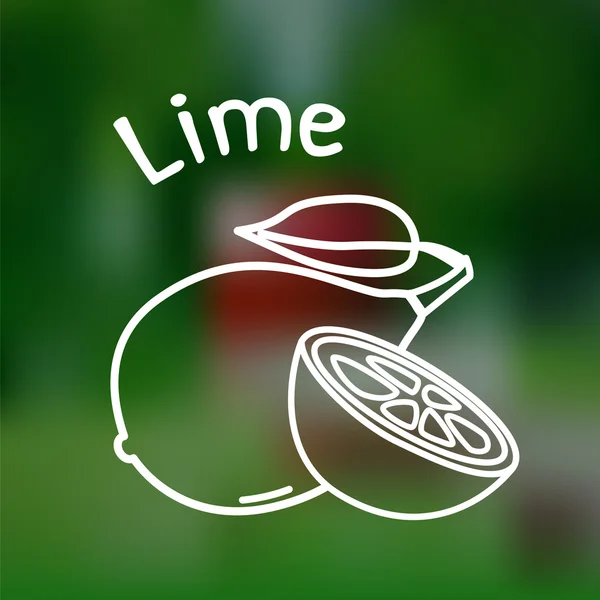 Icône lime fine — Image vectorielle