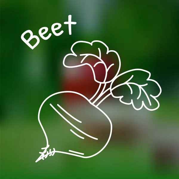 Thin line beet icon — Stock Vector