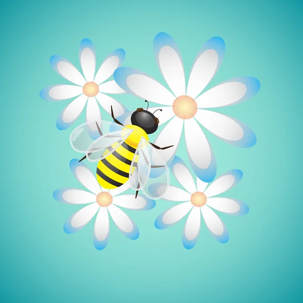 Bee On Camomiles Vector Illustration — Stock Vector