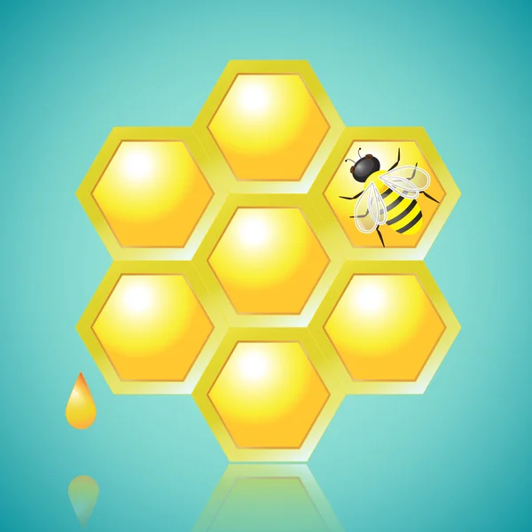 Peteğin ve arı vektör çizim — Stok Vektör