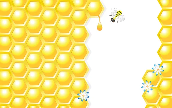 Honey Design Vector Illustration — Stock Vector