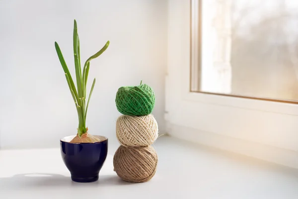 Sprouting onion and three skeins of thread — Stock Photo, Image