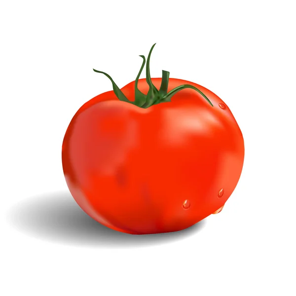 Pomodoro rosso isolato — Vettoriale Stock