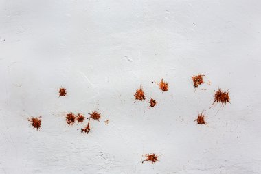 Kirli beyaz boyalı duvar lekeler
