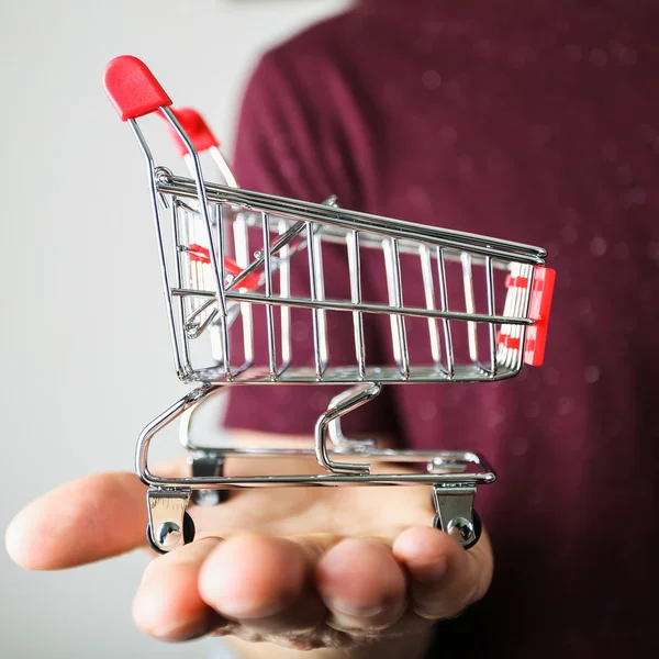 Carrinho de compras na mão — Fotografia de Stock