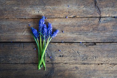 Ahşap bir arka planda mavi bahar çiçekleri