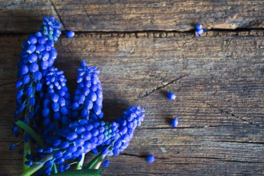 Ahşap bir arka planda mavi bahar çiçekleri