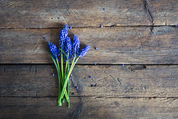 Fiori blu primaverili su uno sfondo di legno — Foto Stock