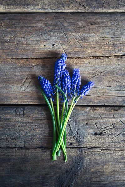 Fiori blu primaverili su uno sfondo di legno — Foto Stock