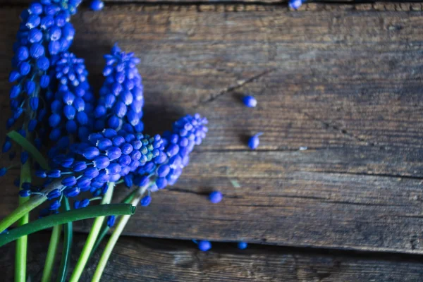 Fiori blu primaverili su uno sfondo di legno — Foto Stock