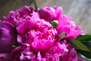 ahşap arka plan üzerinde taze pembe peonies