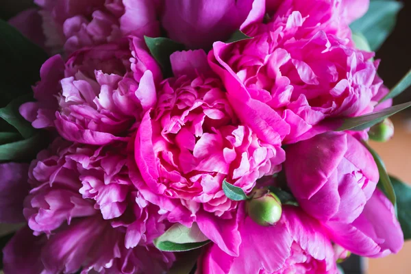 Verse roze pioenrozen op een houten achtergrond — Stockfoto