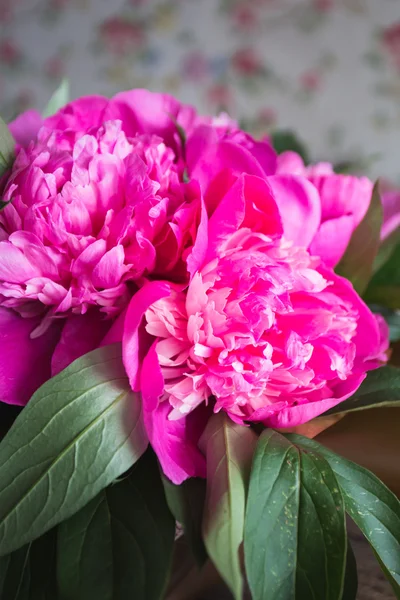 Fresh pink peonies on a wooden background — Stock Photo, Image