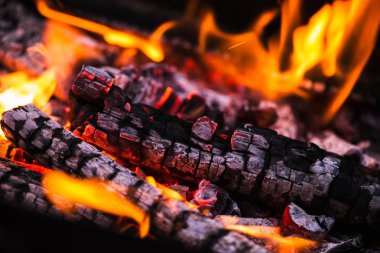 alevler ile kıvılcım kömürlerin üzerinde ateş