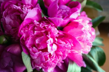 Ahşap arka planda pembe şakayıklar