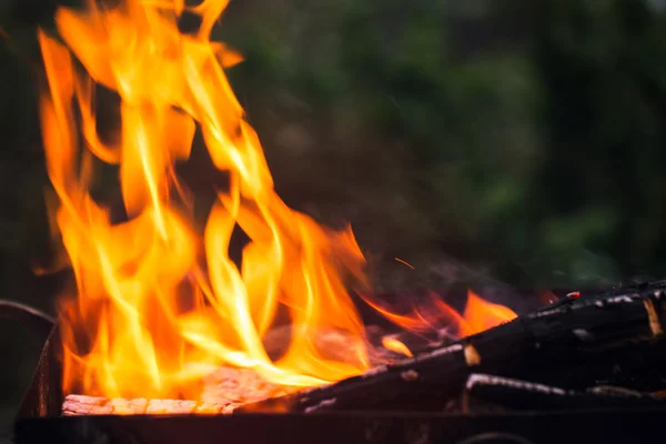 Fire flames with sparks on the coals — Stock Photo, Image