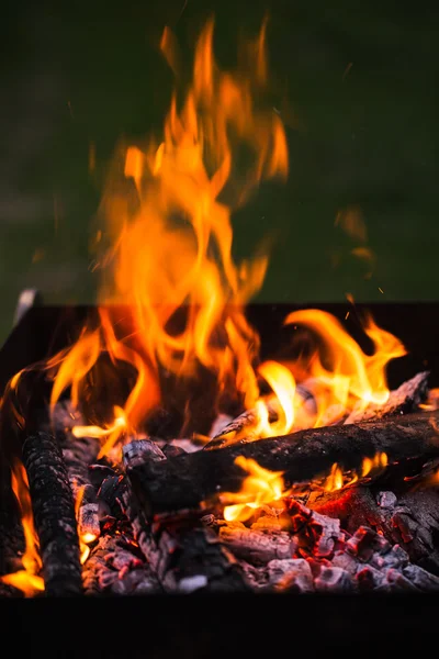 Fire flames with sparks on the coals — Stock Photo, Image