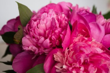 Ahşap arka planda pembe şakayıklar