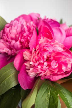 Ahşap arka planda pembe şakayıklar