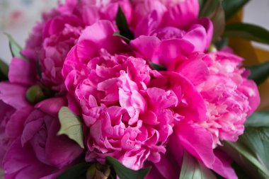 Ahşap arka planda pembe şakayıklar