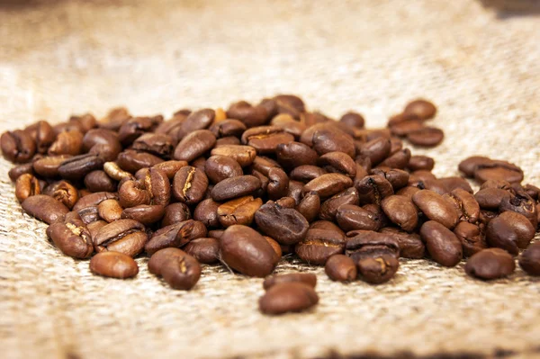 Coffee beans on wood background Stock Image