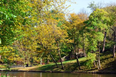 renkli ağaç Nehri yakınında