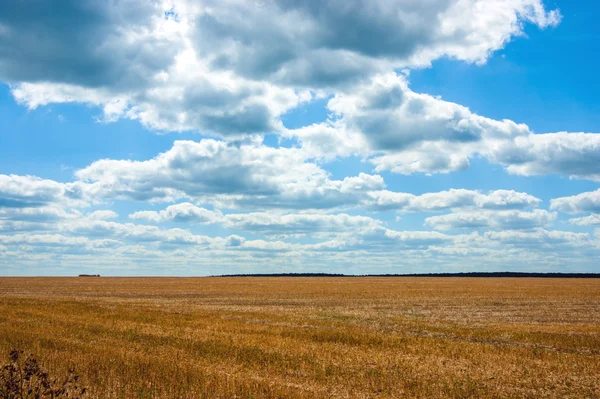 Agriculture field after harvesting and clouds over it — Stock Photo, Image