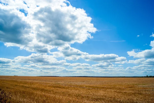 Agriculture field after harvesting and clouds over it — Stock Photo, Image