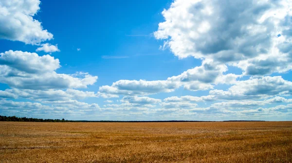 Agriculture field after harvesting and clouds over it — Stock Photo, Image