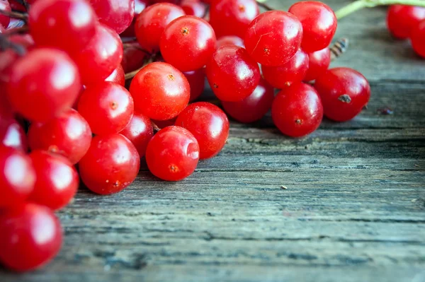 Viburnum on vintage wooden boards background autumn concept — Stock Photo, Image