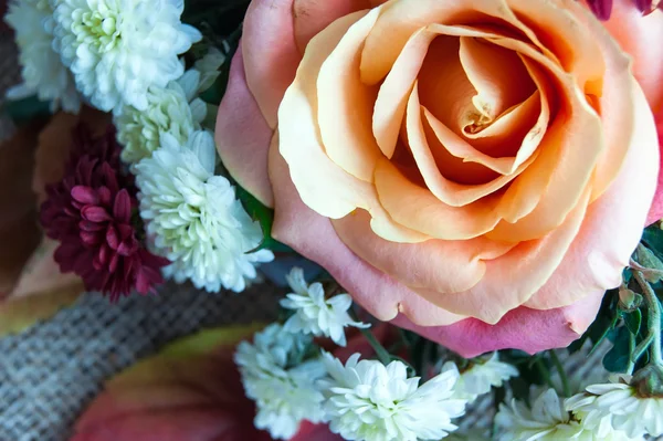 Höstens blommor — Stockfoto