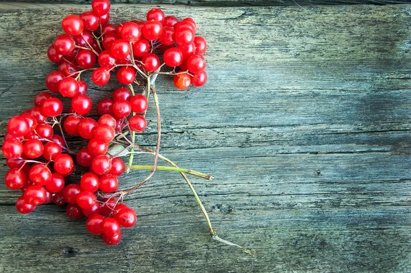 Viburnum sobre tableros de madera vintage fondo otoño concepto — Foto de Stock