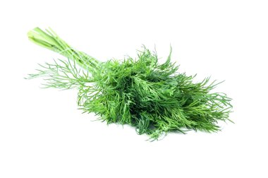 Beyaz arkaplanda taze dereotu