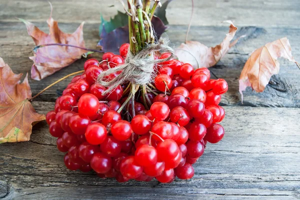 Viburnum em pranchas de madeira vintage fundo outono conceito — Fotografia de Stock