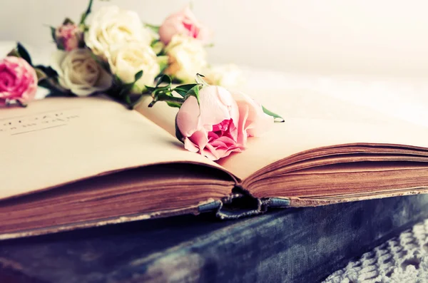 Pink rose on an open old book — Stock Photo, Image