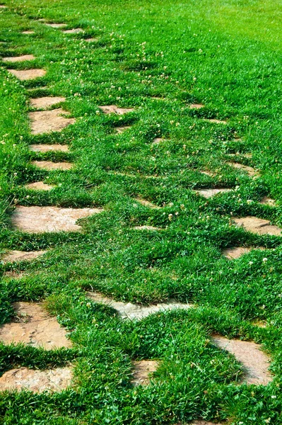 Giardino sentiero di pietra con erba che cresce tra le pietre — Foto Stock