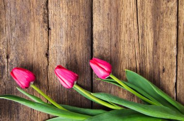 eski ahşap zemin üzerine Pembe Laleler