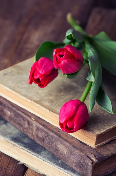 Pink tulips on a pile of old books — Stock Photo, Image