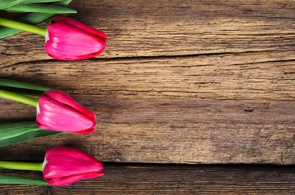 Tulipanes rosados sobre fondo de madera viejo — Foto de Stock