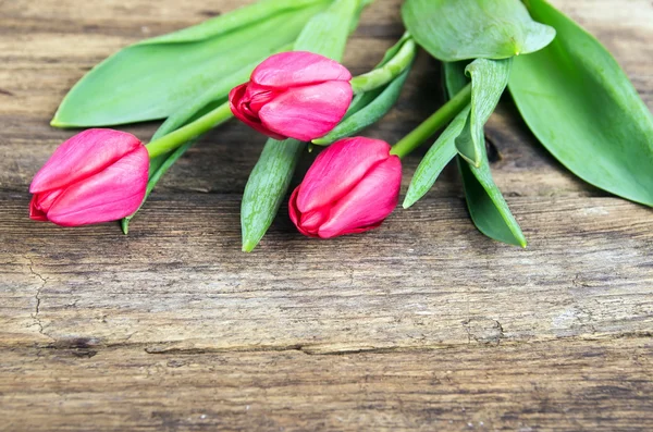 Tulipanes rosados sobre fondo de madera viejo — Foto de Stock