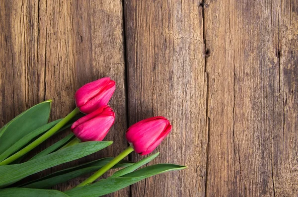 Tulipes roses sur vieux fond en bois — Photo