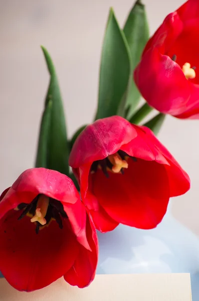 Весенний букет тюльпанов в чайник на ретро деревянный фон — стоковое фото