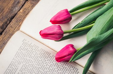 açık bir eski kitap üzerinde pembe laleler